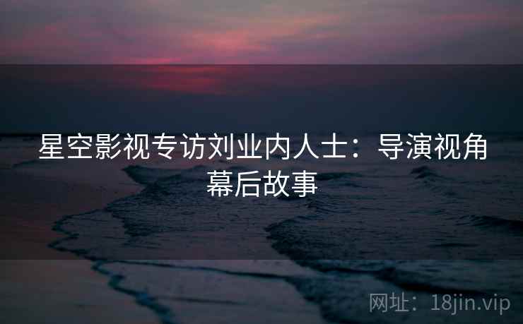 星空影视专访刘业内人士：导演视角幕后故事