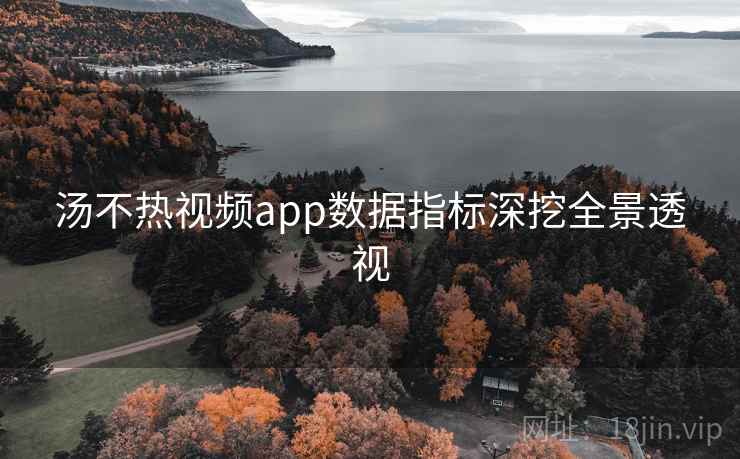 汤不热视频app数据指标深挖全景透视