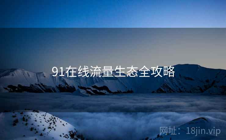 91在线流量生态全攻略