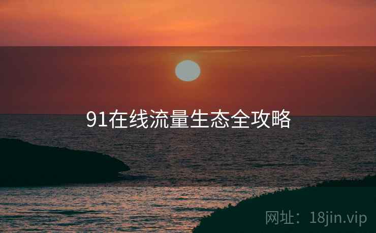 91在线流量生态全攻略