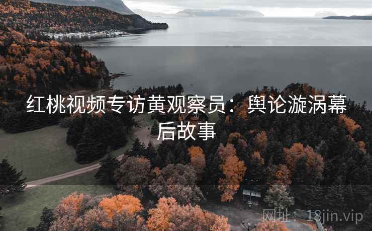 红桃视频专访黄观察员：舆论漩涡幕后故事
