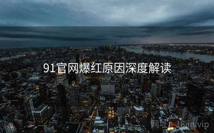 91官网爆红原因深度解读